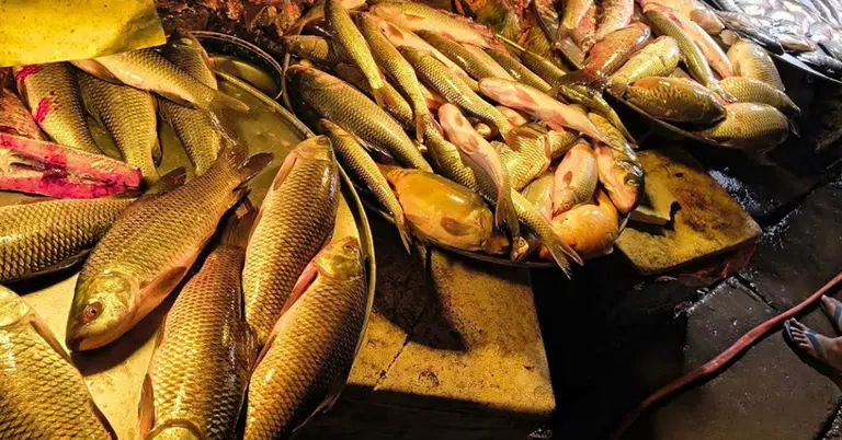 মাছের বাজার